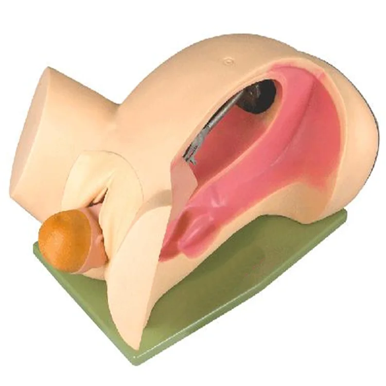 Имитатор груди. Вибростимулятор sqweel go purple от sqweel. Имитатор женский. Sqweel 2. Sqweel стимулятор go.