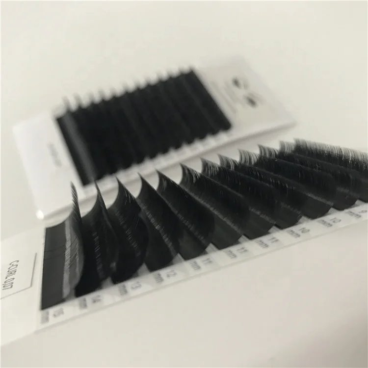 

Private Label Package Korean PBT Eyelash Extension Volume Lash Extension Mix Trays