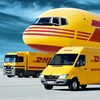 tnt bearings pet delivery service air freight china to usa ddp delivery service