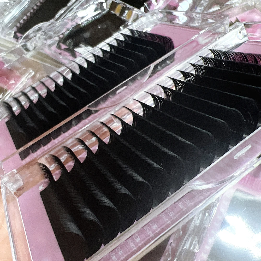 Wholesale Private Logo Handmade CC/DD Mink Silk Eyelash Extensions Trays Dark Matte Black Velvet Cashmere Lashes Mixed LashTray