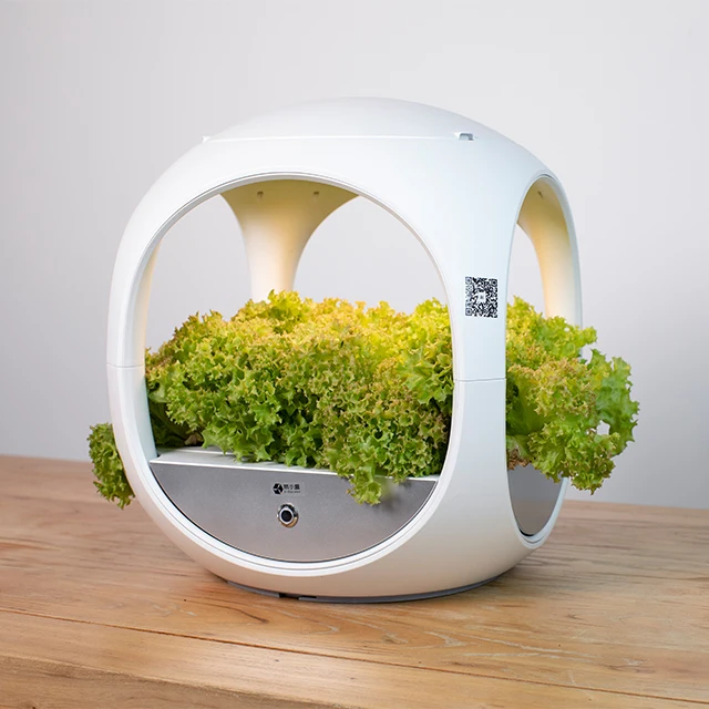 

Indoor garden hydroponic planter indoor growing systems vertical, White