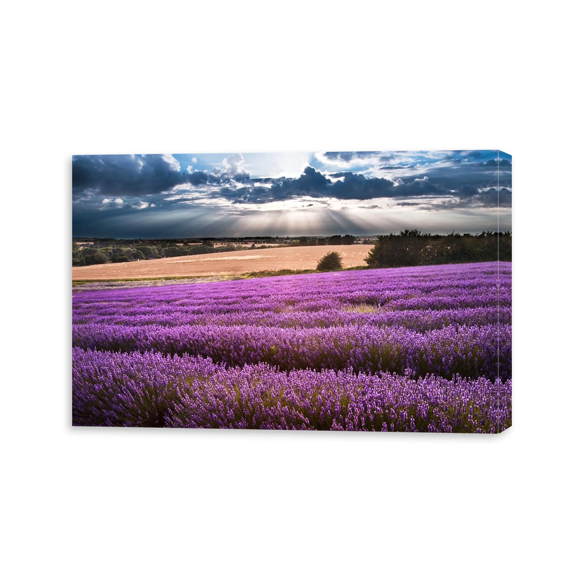 

Flower Print Provence Landscape Canvas Print Home Decoration Wall Art Print