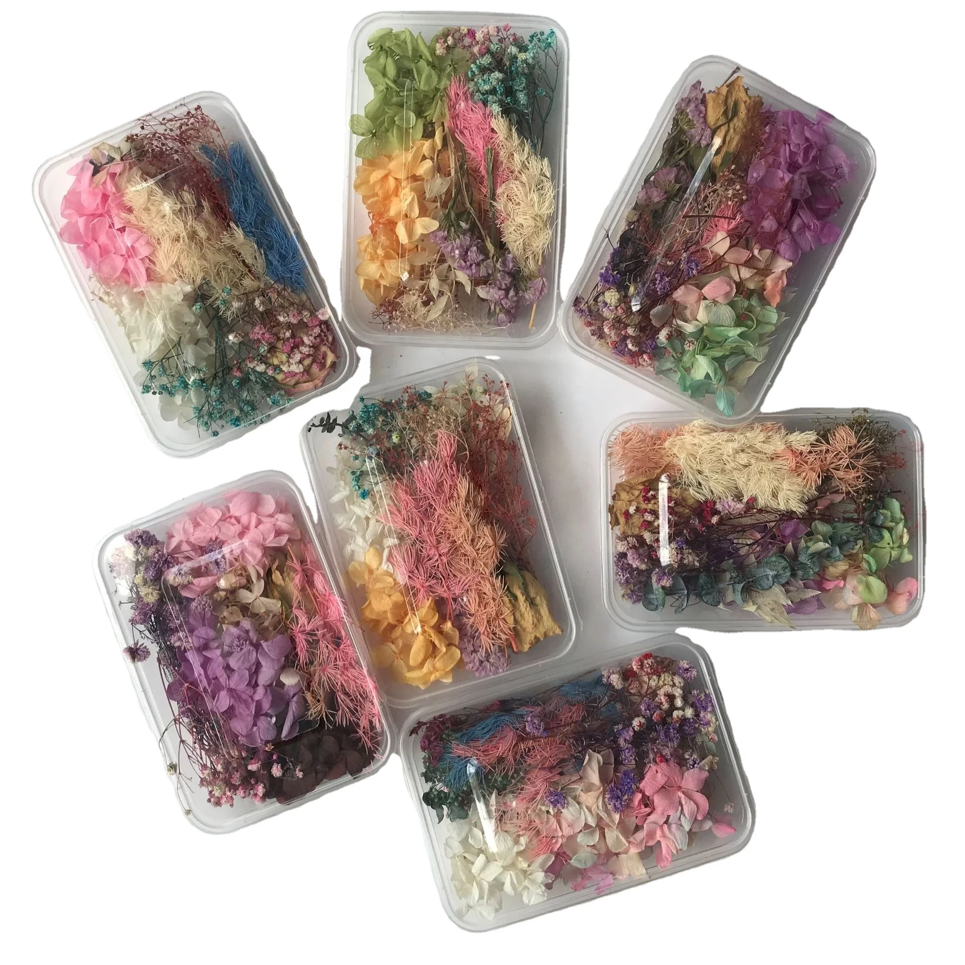 

Nail Dry Flowers Flores Diy Flower Craft Flowers In Bulk Pressed Dried For Resin Boxed Natural