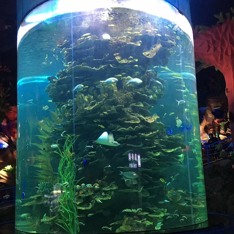 

Good quality large round acrylic aquarium, Transparent