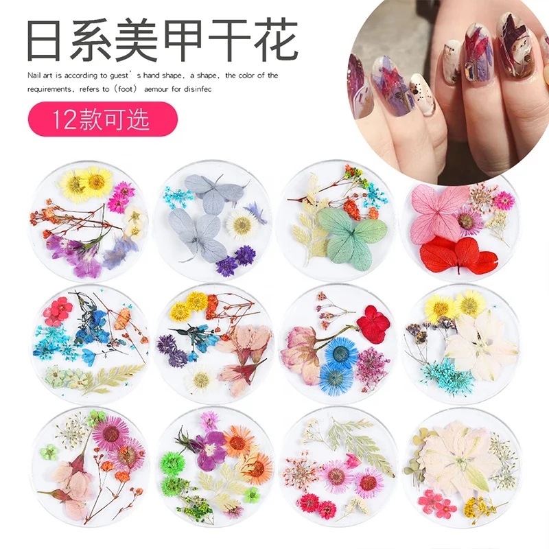 

Misscheering 12 designs 3D Natural Daisy Gypsophila Preserved Real Dried Flowers Nail Art Decoration Stickers