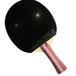 DHS 4002 4006 ITTF Professional Table Tennis Racket Pimples In Rubbers Fast Attack With Loop Advanced Table Tennis Racket