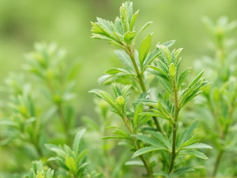 Best Thyme Substitutes: Accurate Ratios & Cooking Tips