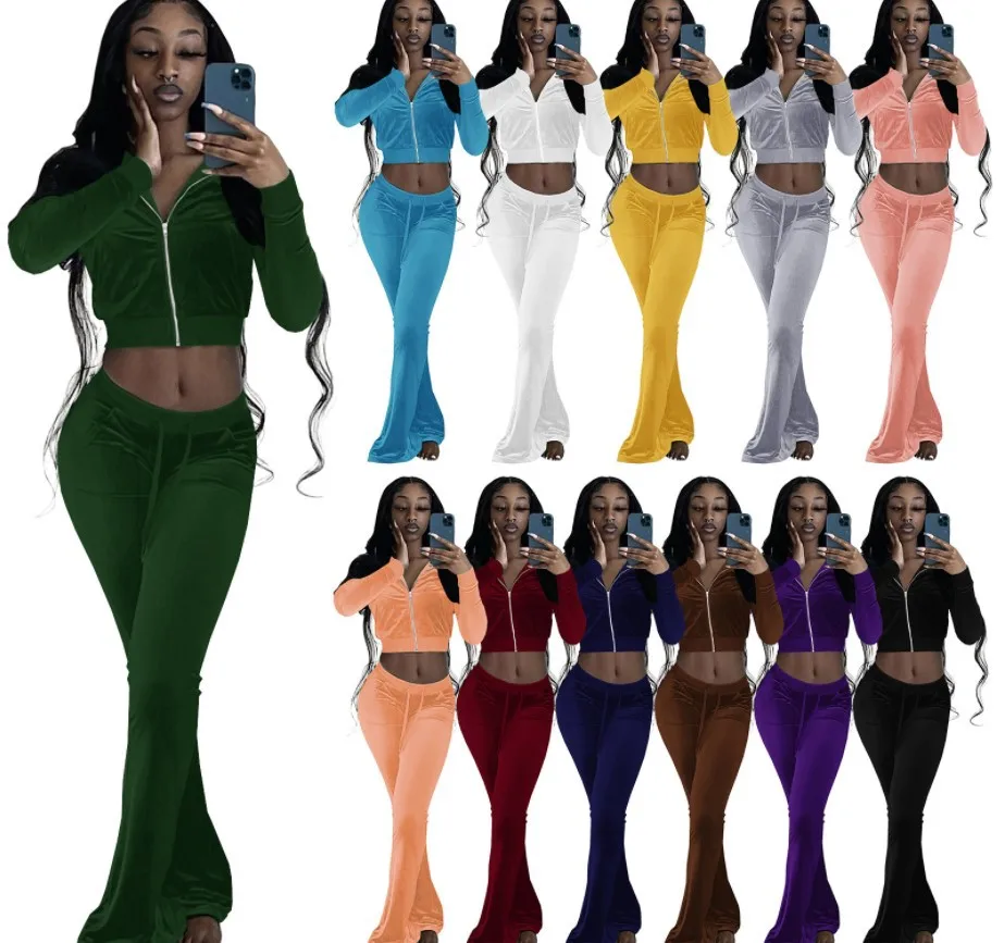 

Fall ladies fashion lapel long sleeve velvet sportswear two-piece suit, Picture color