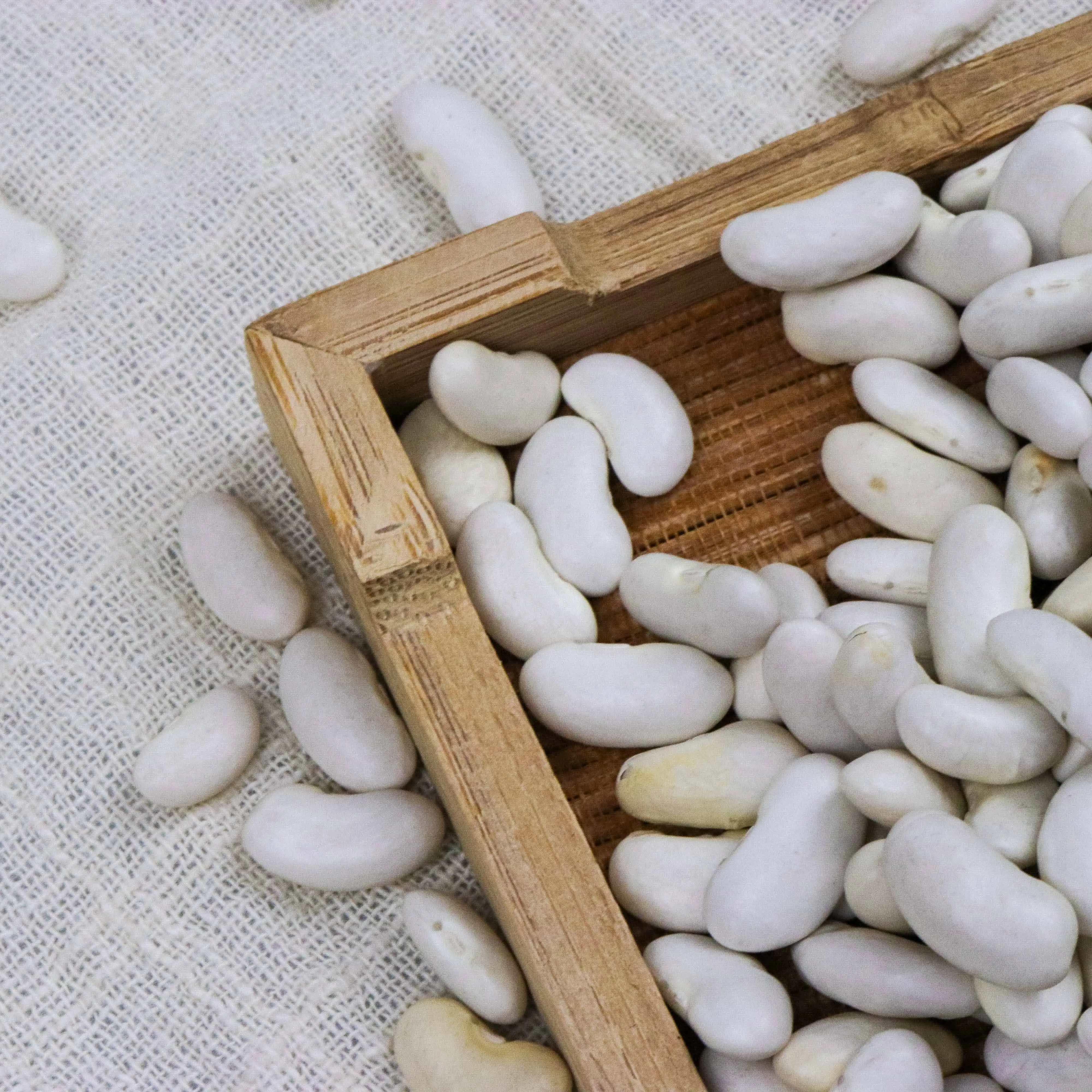 new crop good price white kidney beans