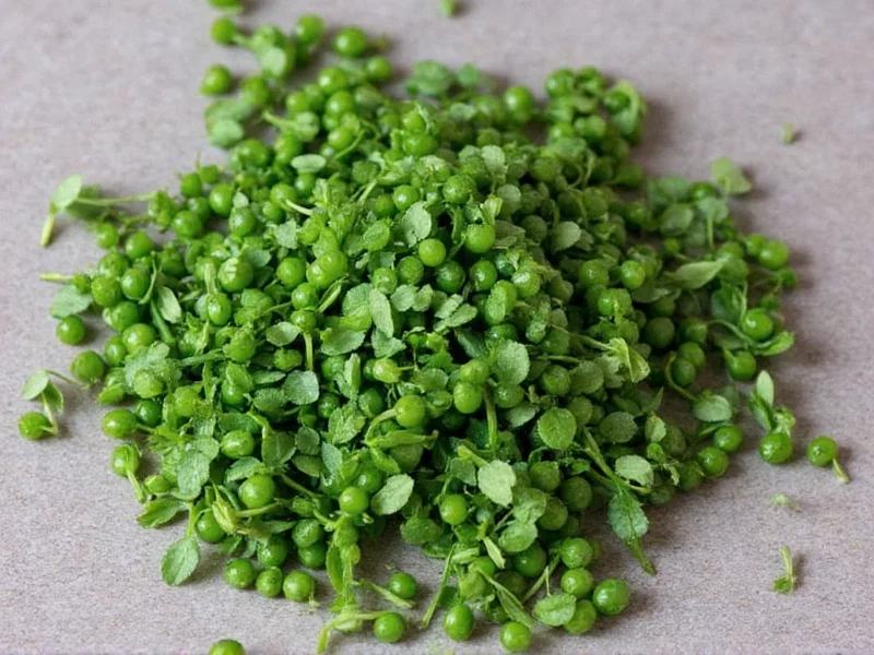 What Is Herb Savory? Complete Guide to This Culinary Herb