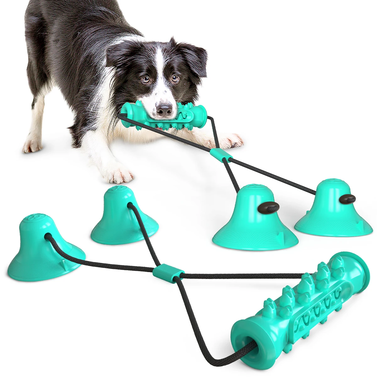 

2022 New Amazon hot sell double suction cup drawstring dog toy molar bite resistant dog toy pet molarchew toy for dogs, Blue, green, customized