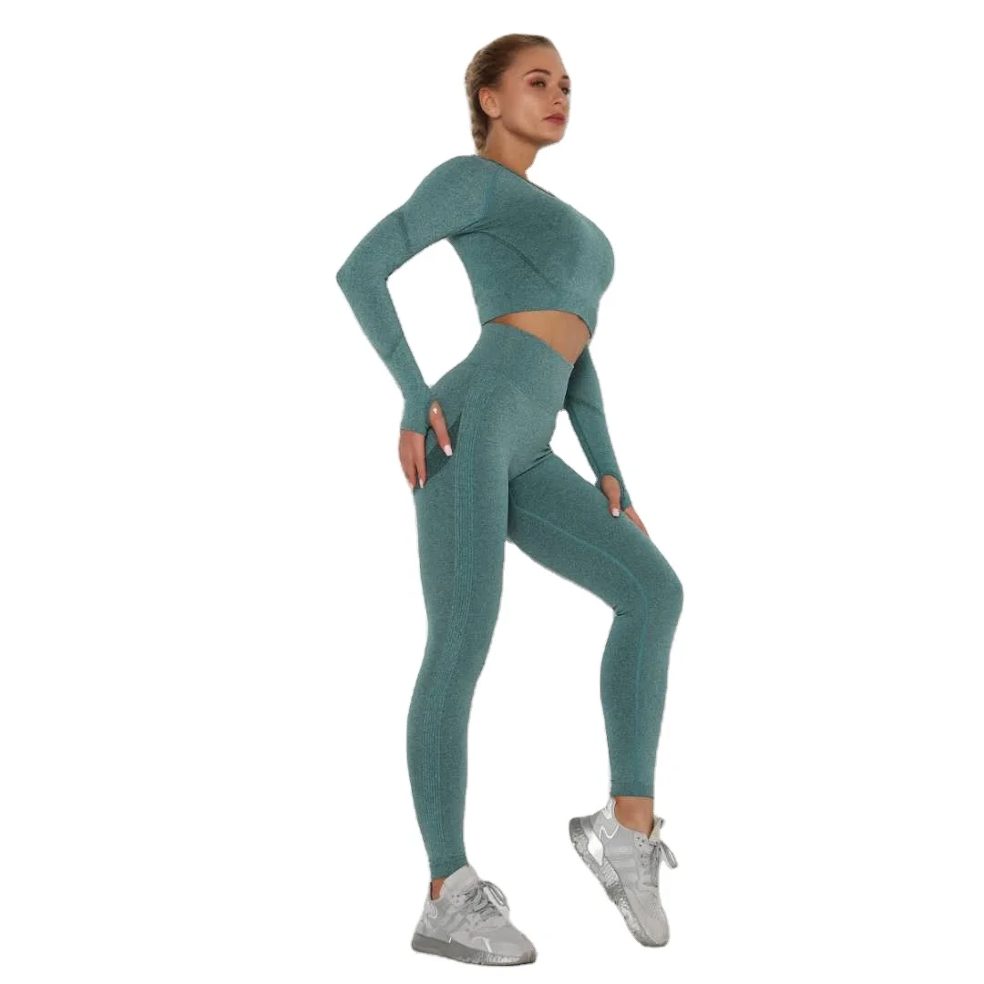 

TZ-CX6205 colorful winter autumn long sleeve crop top and leggings sets seamless gym fitness yoga set, Customized colors