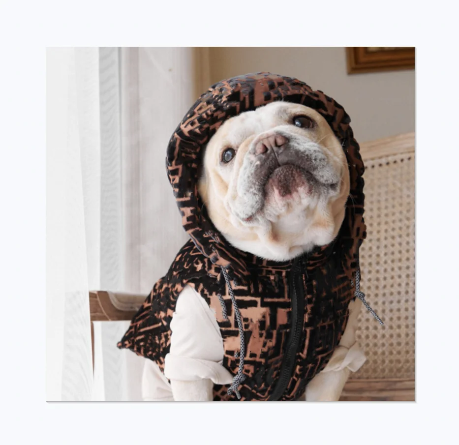 

Classic Design Luxury Brand Logo Printing D And F Down Jacket Super Warm Big Pet Coat