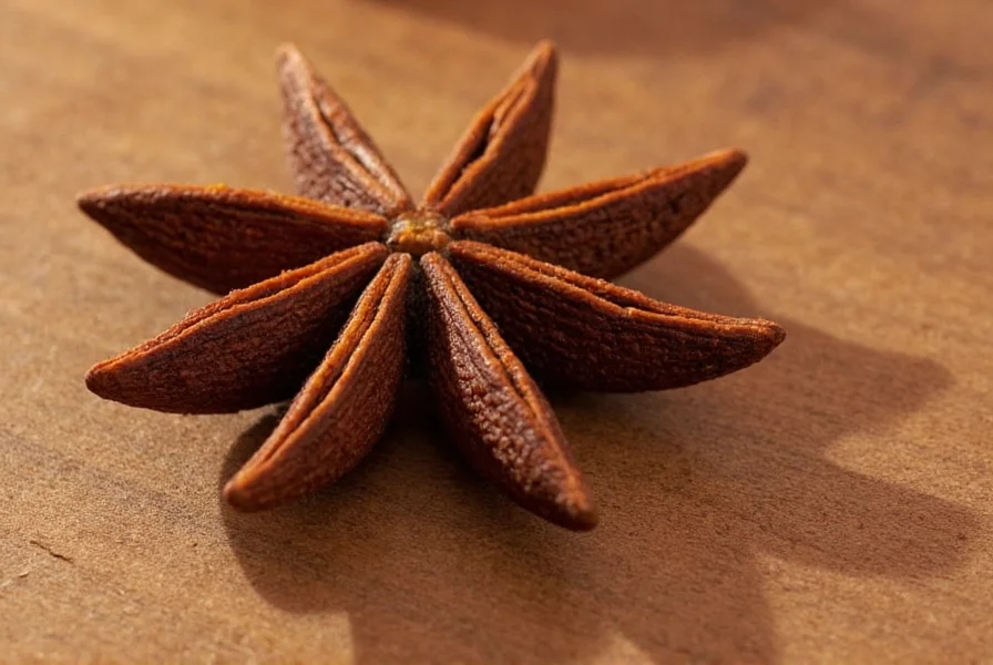 Star Anise: The True Star-Shaped Spice Explained