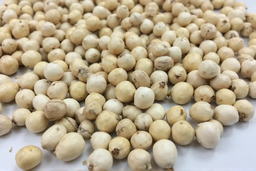 White Pepper Grains Close-up