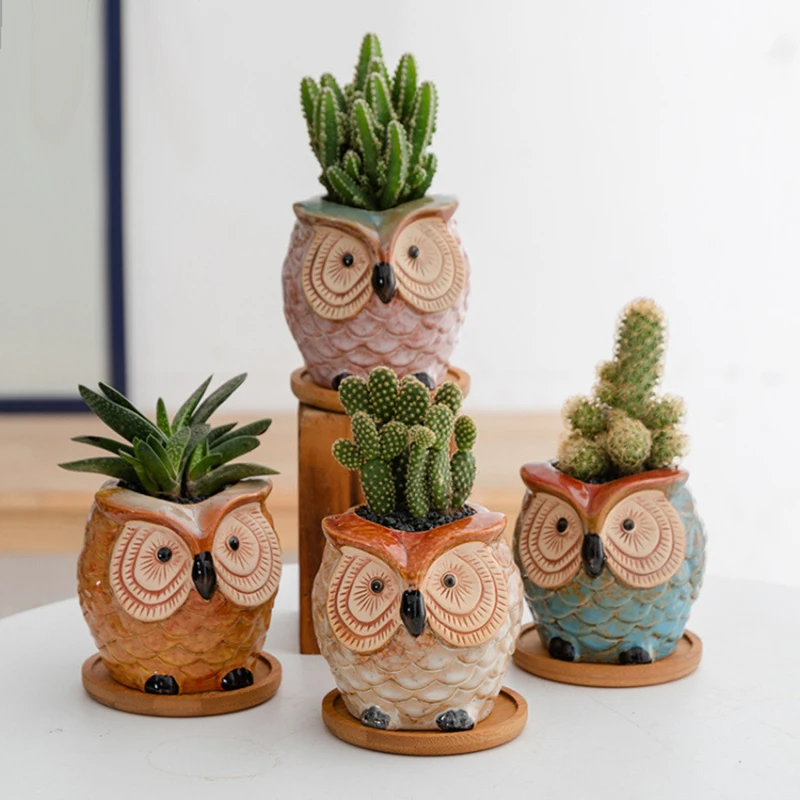 

2020 New owl succulent plants pot creative mini thumb succulent planter cartoon animal indoor flower pots for plants ceramic, Customized color