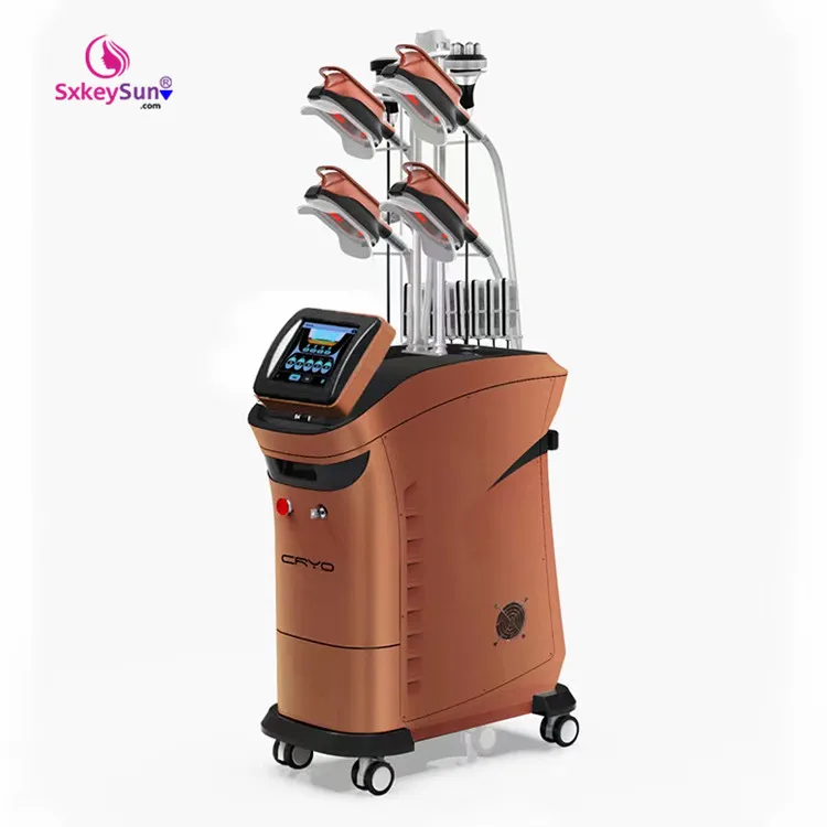 

2021 360 degree Fat Freezing Cryolipolisis Slimming Cavitation Radio Frequency Weight Loss Machine