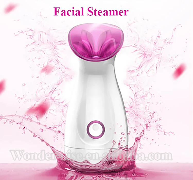 2.facial steamer-2.jpg