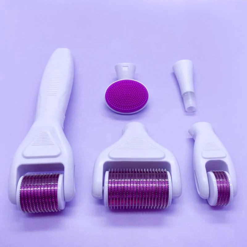 

1200/720/300/12 Needle Derma Rollers System 6 in 1 Derma Roller Set