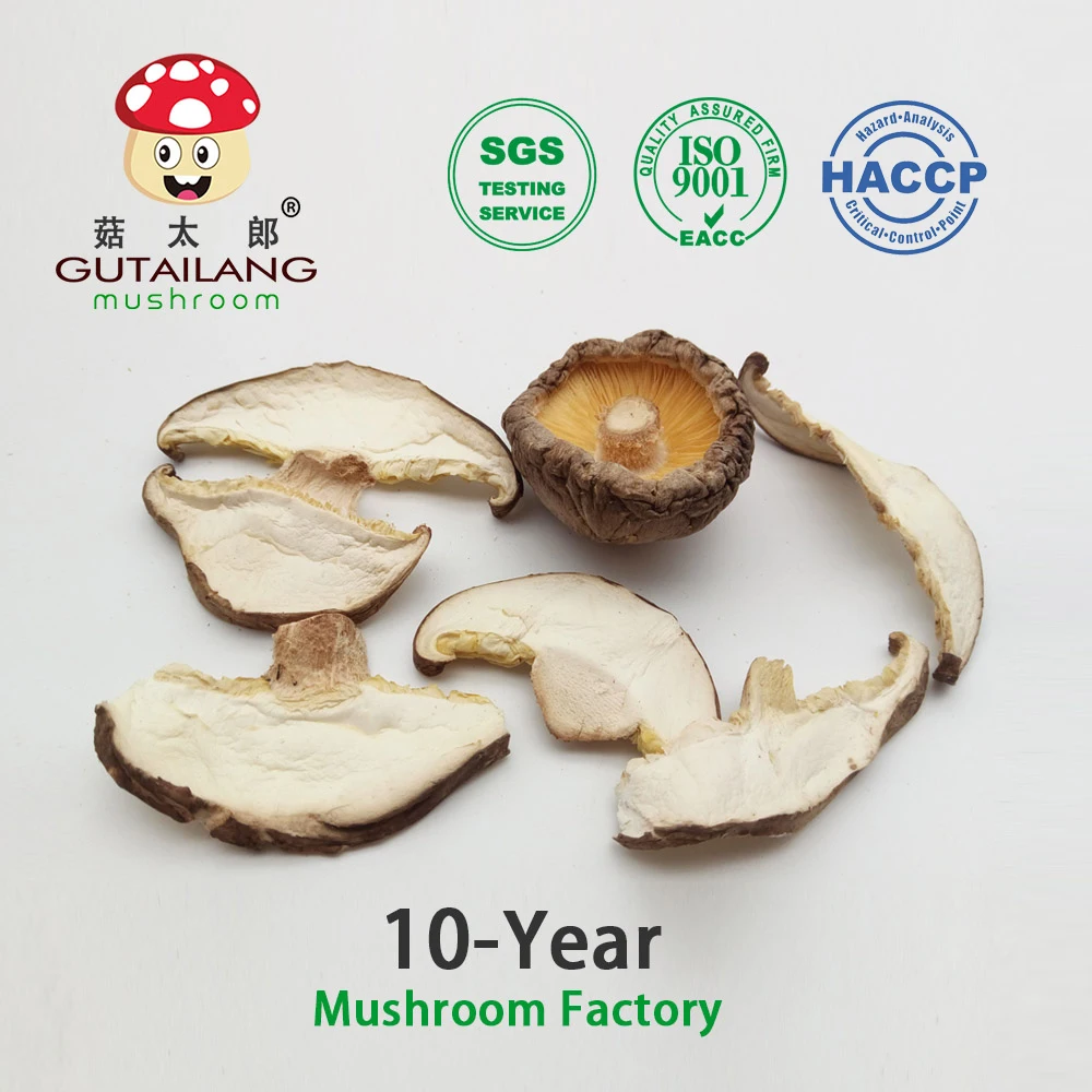 Organic Dehydrated Mushroom Sliced Shiitake Mushroom Slices High Quality Dried Shiitake Mushroom