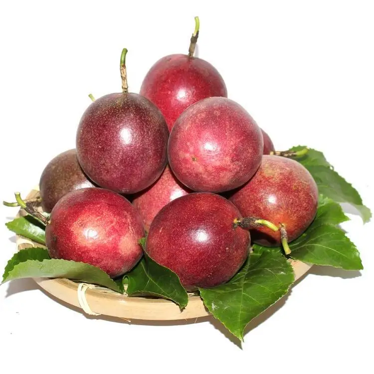 Download High Yield Tropical Fruit Seeds Passion Fruit Seeds For Sale Buy Free HD Get Wallpaper High Yield Tropical Fruit Seeds Passion Fruit Seeds For Sale Buy Desktop Wallpaper