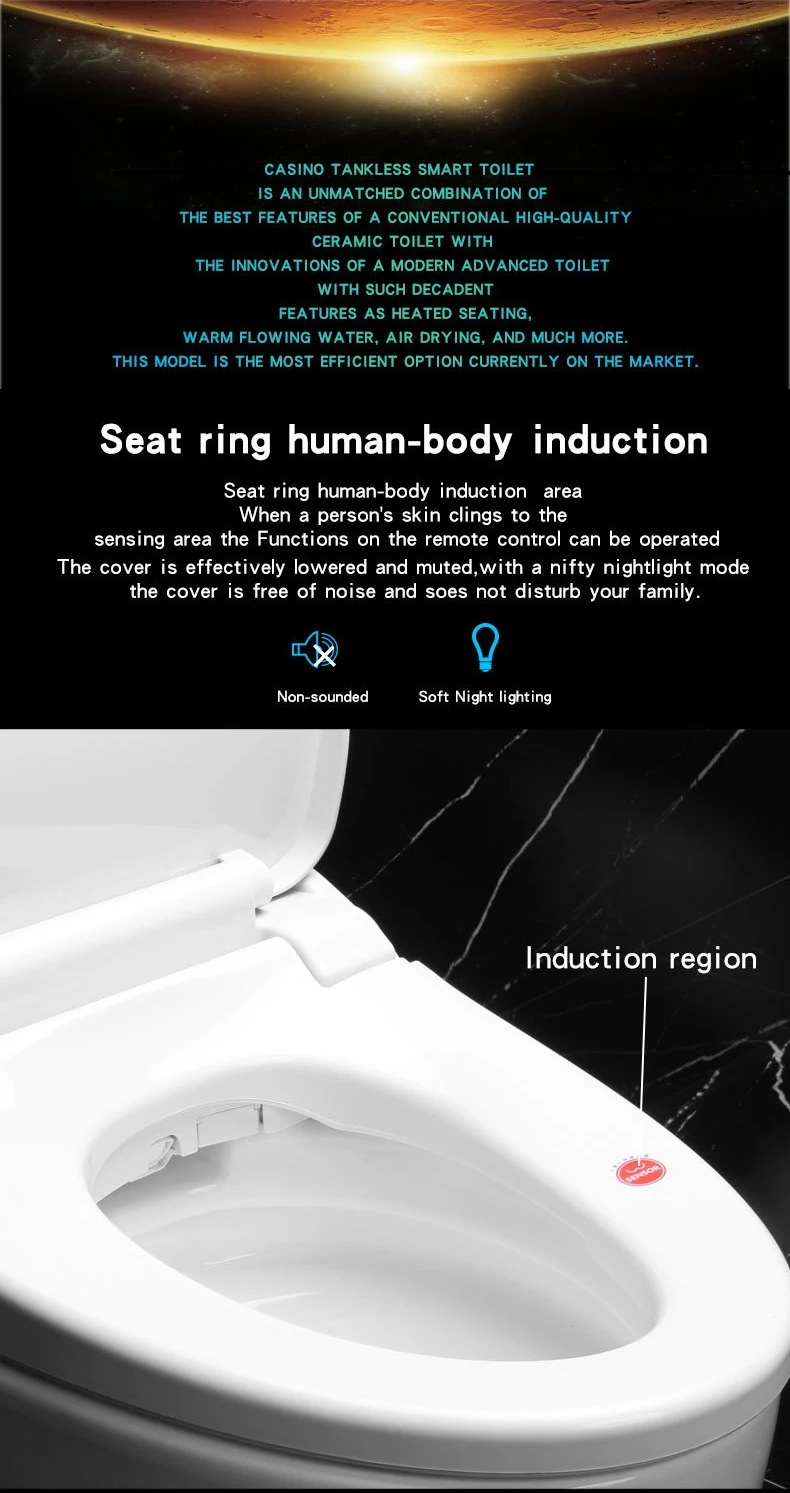smart toilet (2).jpg