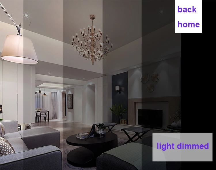 Alexa WiFi Light Switch, Smart Light Switch for Alexa and Smartphone, Tempered Remote Control - ANKUX.COM