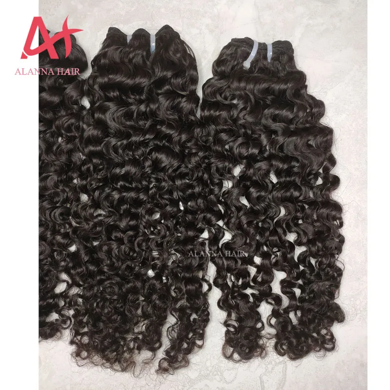 cambodian curl38.jpg