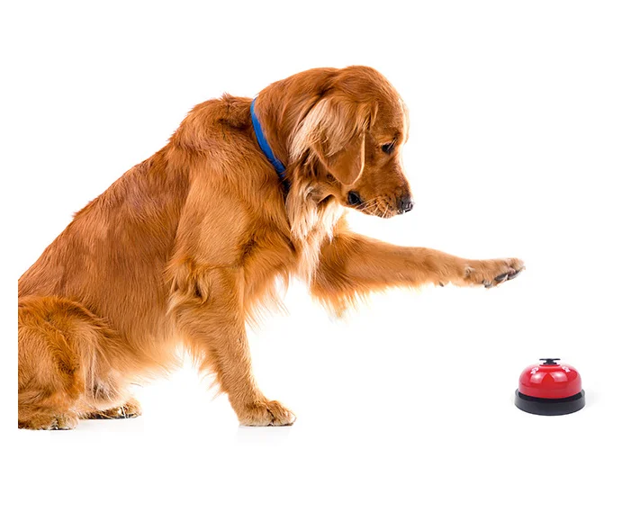 

Interactive Pet Educational Bell Toy Big Button Designed Cat Toy Mechanical Voice Dog Toy Practical
