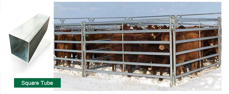latest company news about Livestock galvanized metal used cattle yard corral fence panels 2*2.1m for horse  0