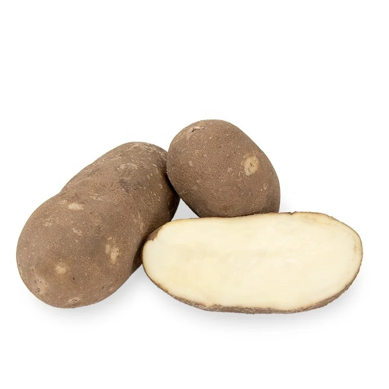 
US Grown Fresh POTATO BAKERS BULK Robinson Fresh MOQ 50-60 COUNT Quick Delivery in US 