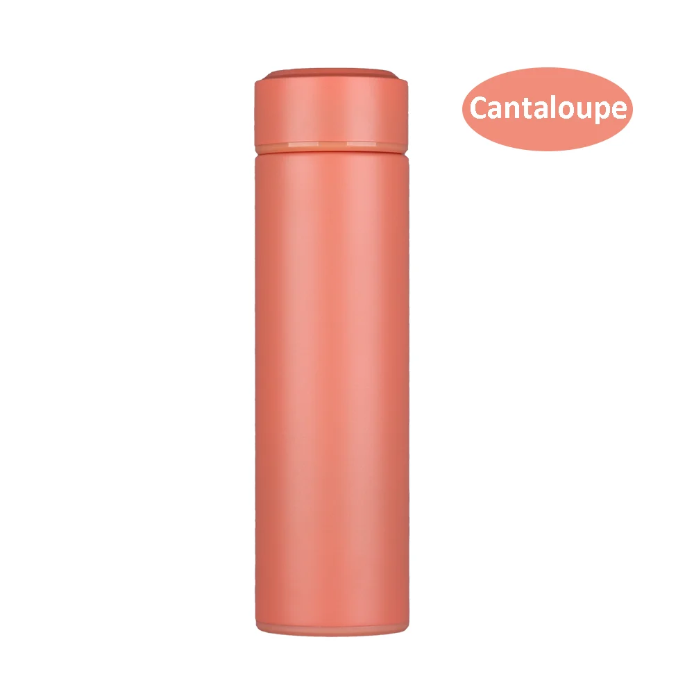 
15oz Tea Strainer BPA Free Vacuum Flask Stainless Steel Double Wall Insulated Thermos Bottle Water Bottles with Custom Logo 