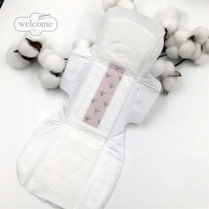 

Biodegradable Premium Walmart Eco Friendly Packaging Low Cost Women's Panties Sanitary Napkin Anion