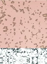 sy_micro_32x40mm_274dpi.jpg