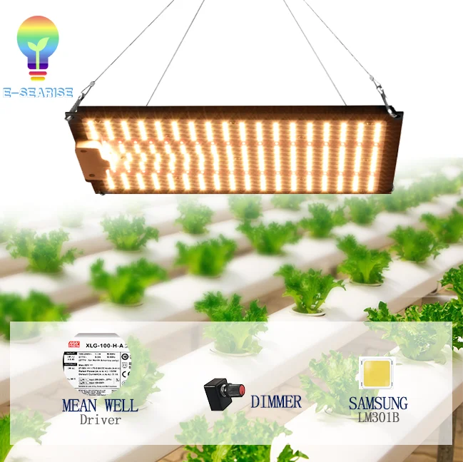 
QB1000 Samsung Lm301b Led Grow Lights For Plant 