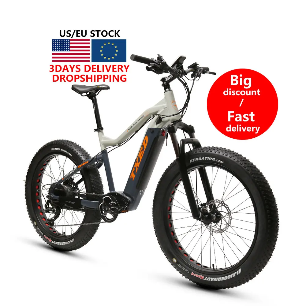 US Warehouse stock 9 speed 48V/750W mountain bike fat electric bicycle