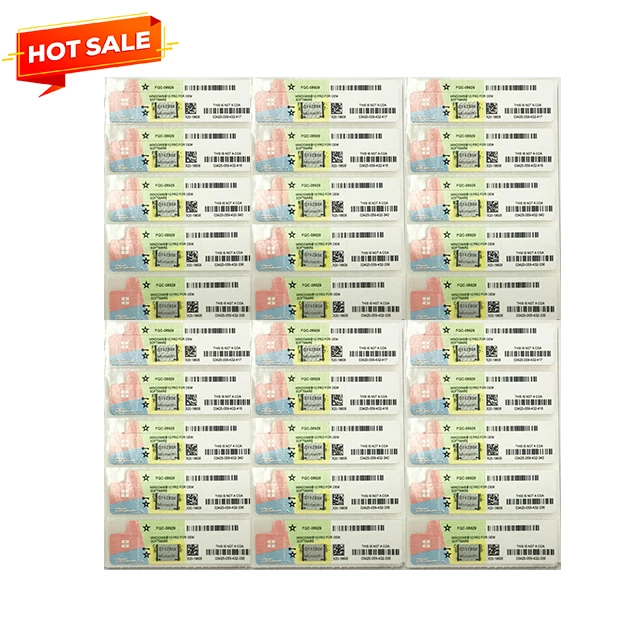 Windows 10 Professional Window