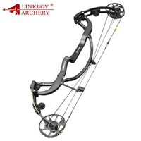 

Archery Predator 2 Carbon Compound Bow 50-65 Ibs 330FPS RH Arrows Hunting Shooting