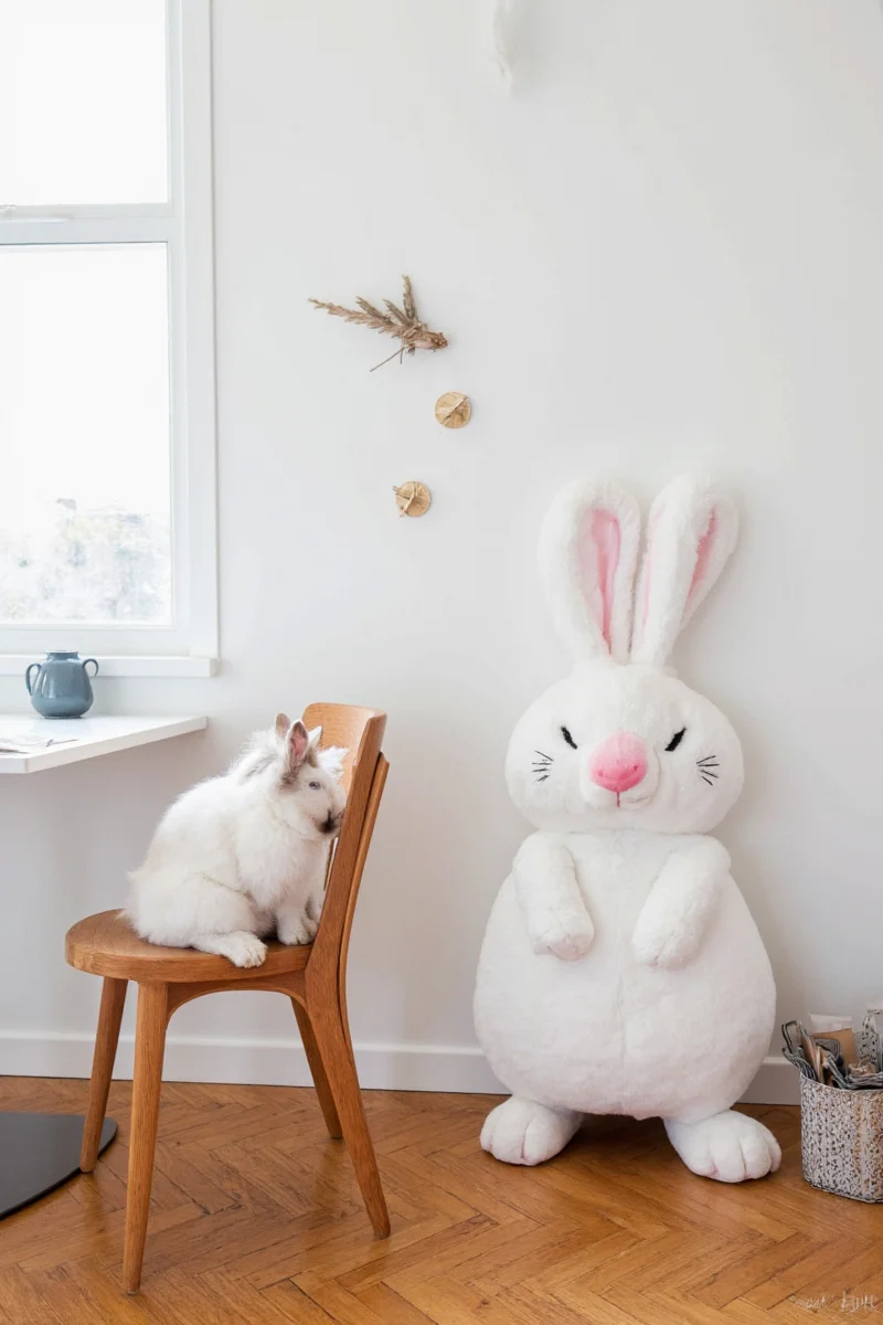 A stylish living area with a rabbit exploring a designated play zone filled with safe toys and durable decor.