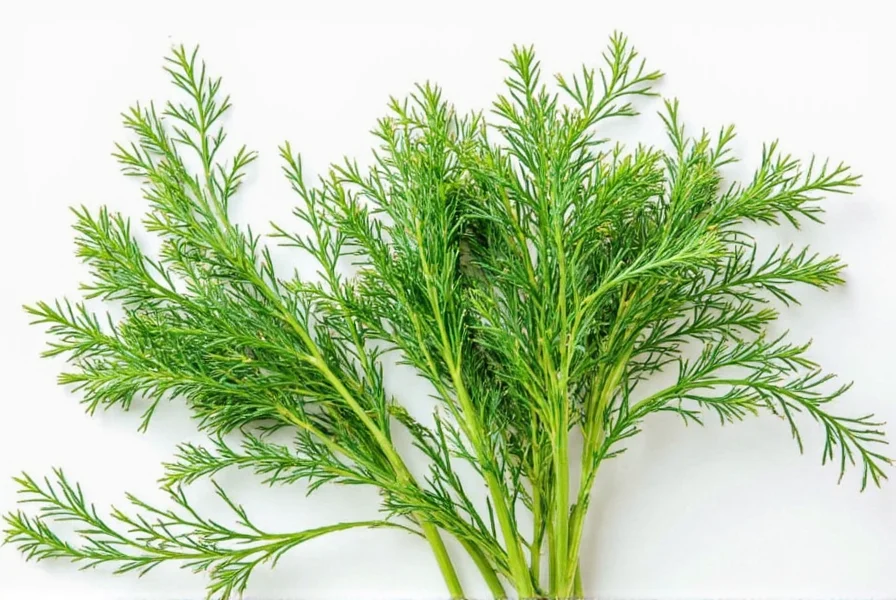Glass jar filled with dill pickles in brine