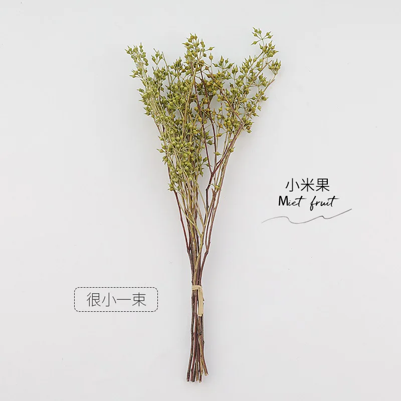 

Solid Color Series Leaves And Dry Branch Shape Photography Props Suitable For Home Decoration