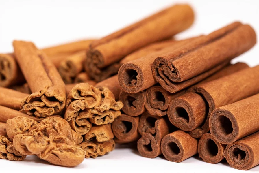 Close-up comparison of Ceylon cinnamon sticks versus Cassia cinnamon sticks showing the layered structure of Ceylon and solid structure of Cassia