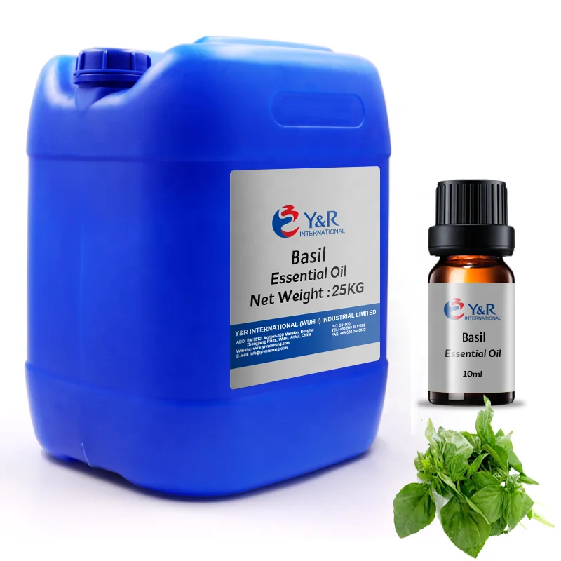 

GMP Factory Supply Holy Basil Essential Oil for Firming Skin