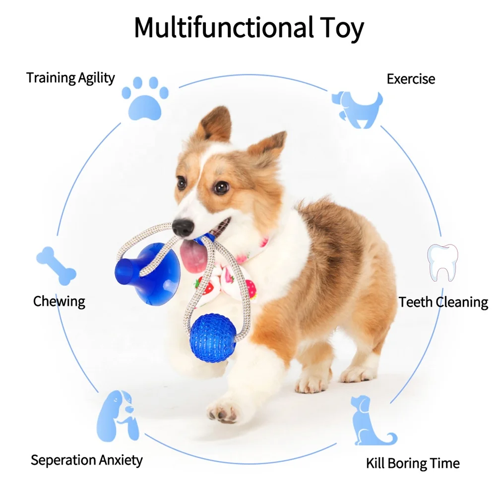 Multifunction-Pet-Molar-Bite-Dog-Toys-Rubber-4.jpg