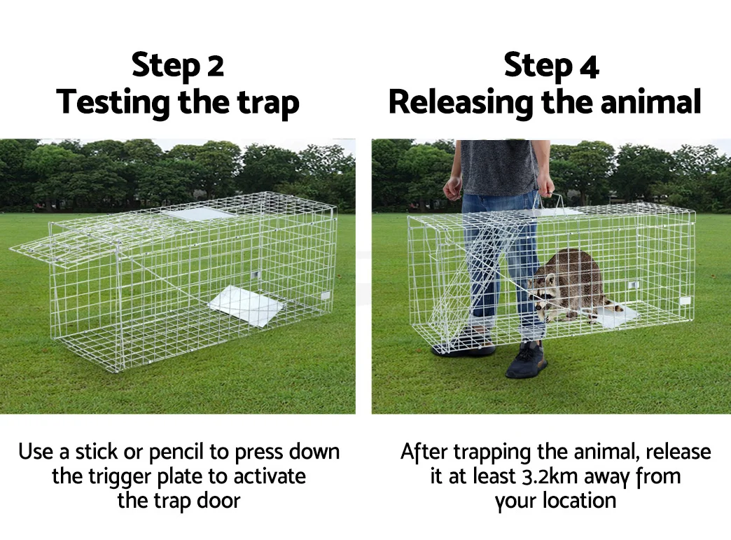 Animal Traps 10.png