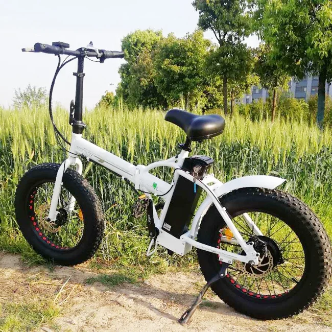 

Haoling 20 foldable electric bike /egobike/ electric bicycle city oem fatbike with rear rack