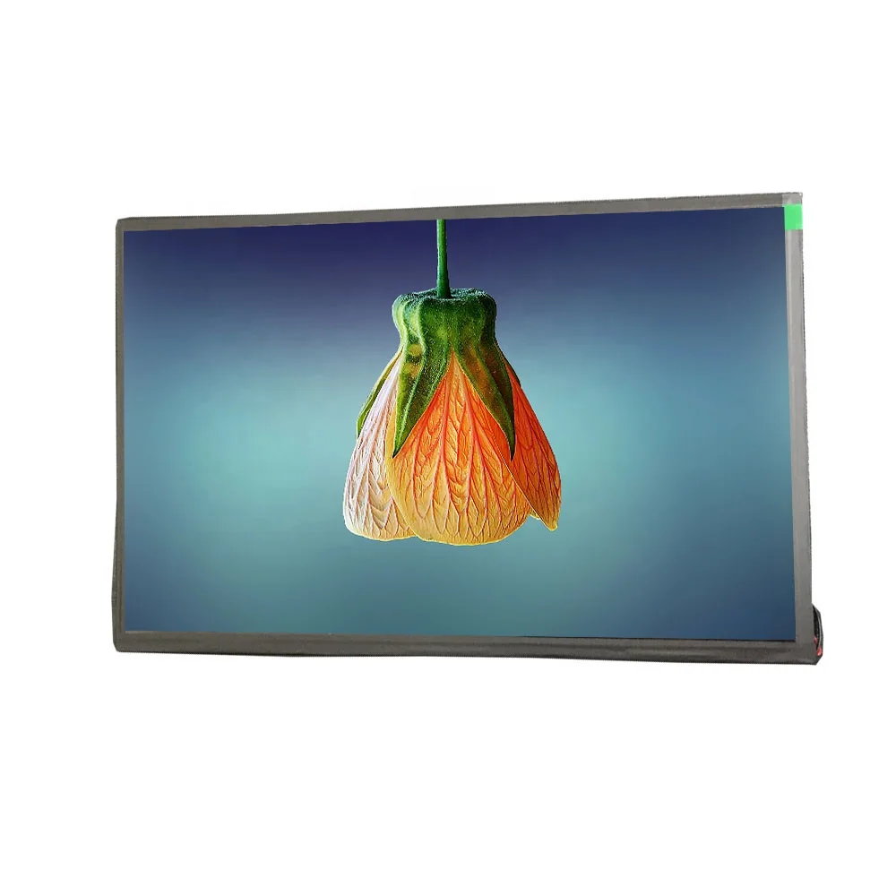
Newest 2020 10.1 inches full HD IPS 1920x1200 industrial high contrast lcd modules display for medical machine 