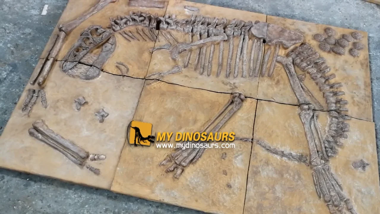 V Replicas Dinosaur Fossils For Excavation Site Buy Dinosaur Fossils