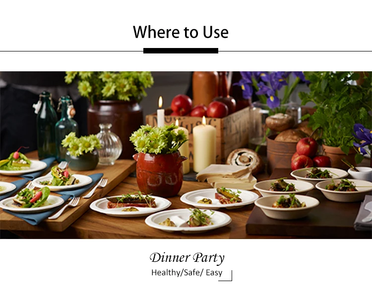 dinner party.jpg