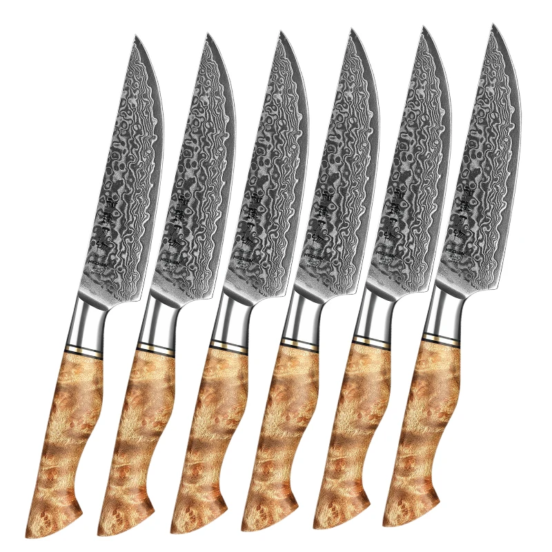 

Hot sale 6 Pieces 67 Layers Damascus Steel Knife with Wooden Handle Multipurpose Restaurant Cutlery Beef Steak Knives Set